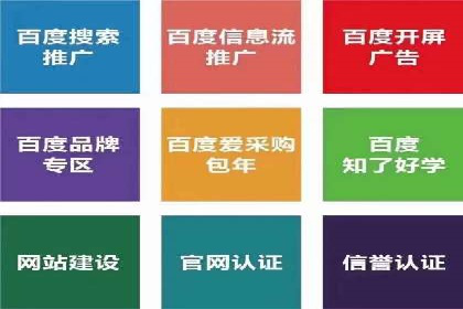 案例分享：百度推广助力企业拓展海外市场